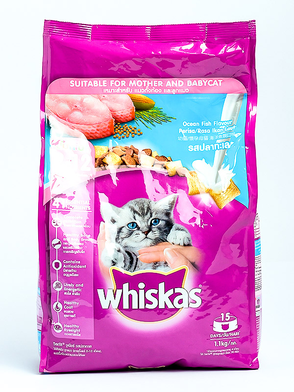 Whiskas Dry Cat Food Ocean FishW/Milk Junior 1.1Kg