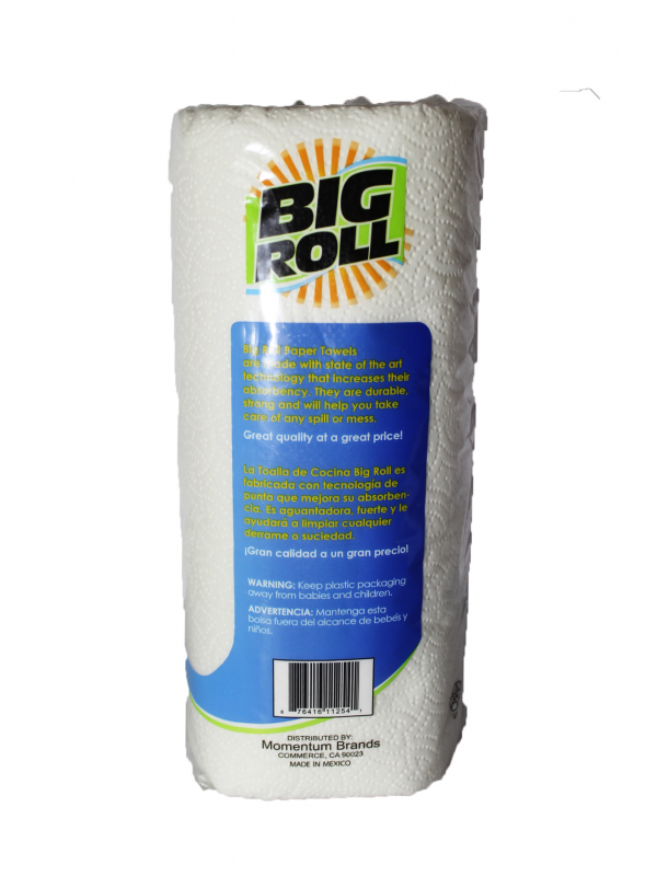 BIG ROLL PAPER TOWEL 100 SHEETS 11 ROLLS